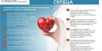 29 СЕНТЯБРЯ ВСЕМИРНЫЙ ДЕНЬ СЕРДЦА