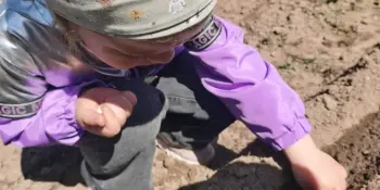 Садим, садим огород...