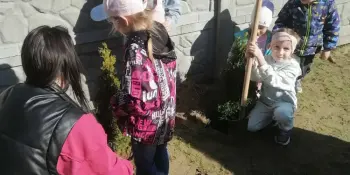 Аллея выпускников