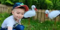 Путешествие по экологической тропе