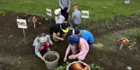 Работаем в огороде...
