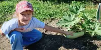 Лето - жаркая пора...